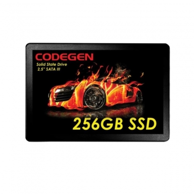 CODEGEN 240GB CDG-256GB-SSD25 500- 450MB/s SSD SATA-3 Disk