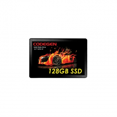 CODEGEN 120GB CDG-128GB-SSD25 500- 450MB/s SSD SATA-3 Disk